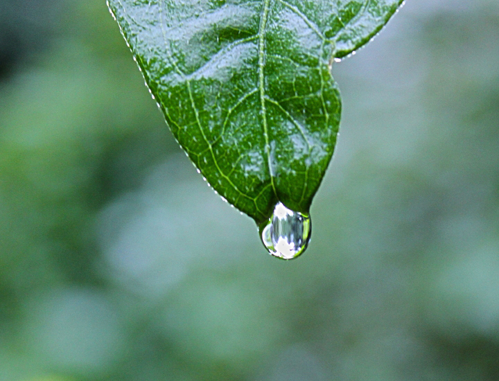 电话短信轰炸机