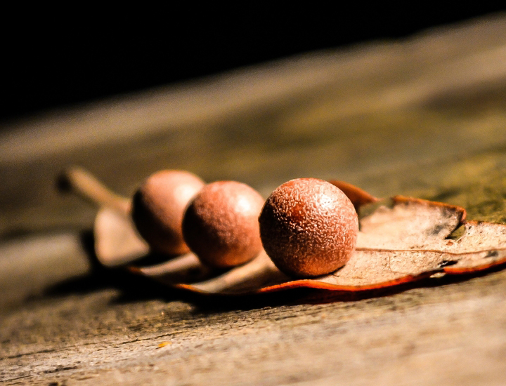 无限拨打手机号软件